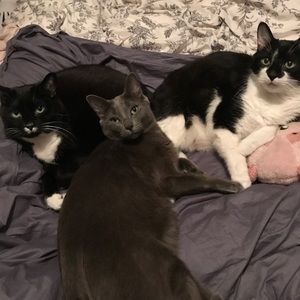 Meet your Posher, Elissa